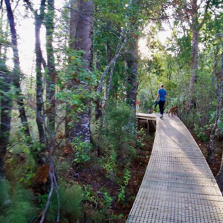 Sapphire Springs Holiday Park And Thermal Pools Katikati Buitenkant foto