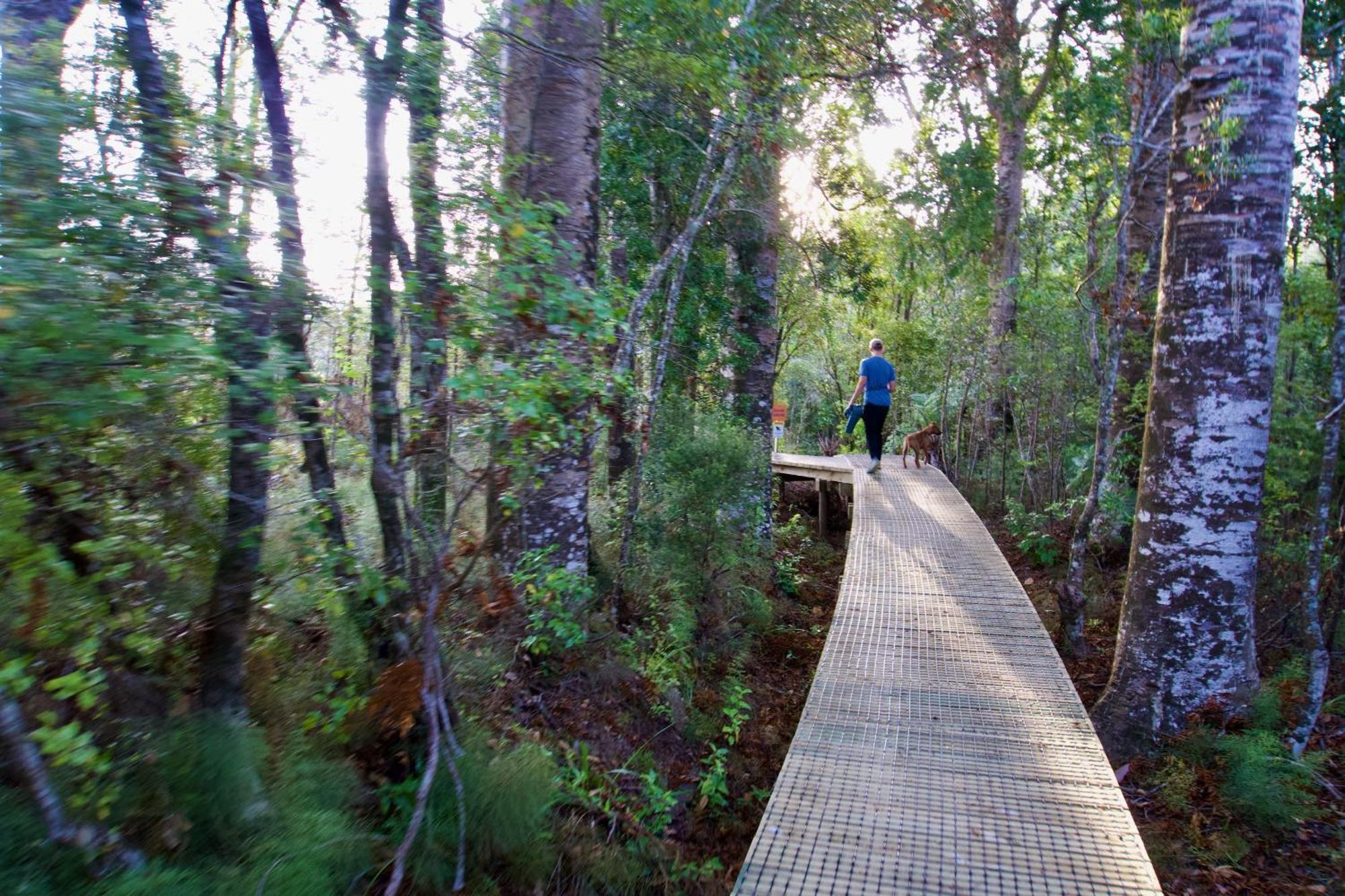 Sapphire Springs Holiday Park And Thermal Pools Katikati Buitenkant foto